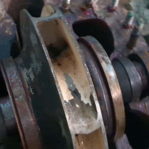 untitled design (54)